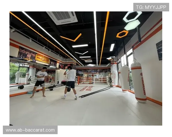 从挥拳到高楼拔地起一场奇特战斗与建筑交织的游戏体验 从挥拳到高楼拔地起一场奇特战斗与建筑交织的游戏体验